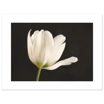 973e404a-3fe4-48c2-af96-40d0f6becfcf