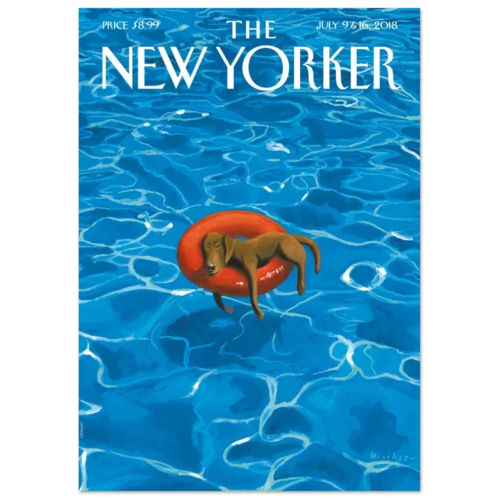 979484f8-854f-4a8b-ab33-8c79768621da