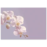 97d73613-8fc6-4638-8f31-9ef43365aec4