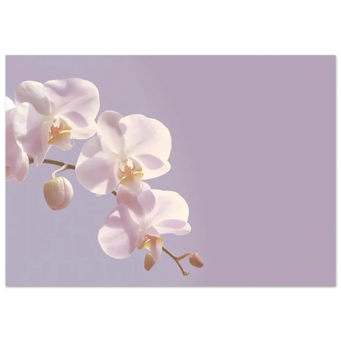 97d73613-8fc6-4638-8f31-9ef43365aec4