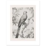 98889ea3-da50-43f9-9609-4e954e0a84c3