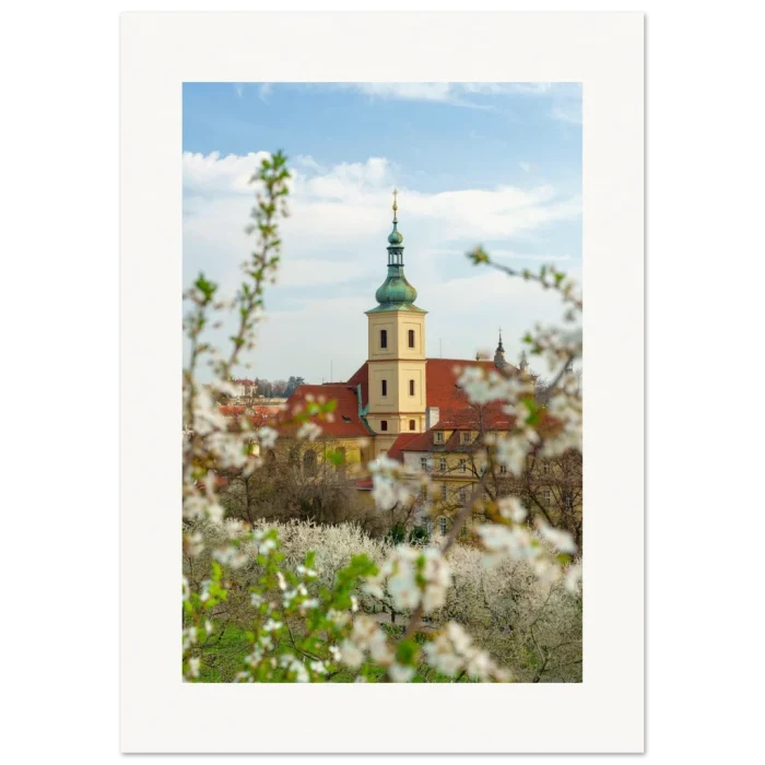 9892440d-b96f-4bea-ac6a-c2253357470d