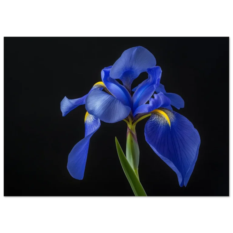 994b8c53-5f0a-41e9-a840-ecd776a336f0