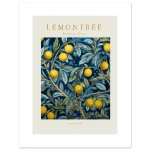 9a881754-f0c6-4d37-bdfa-261ec9e37da9