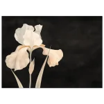 9b9b3b6e-f4b0-44f3-90df-53357e867489