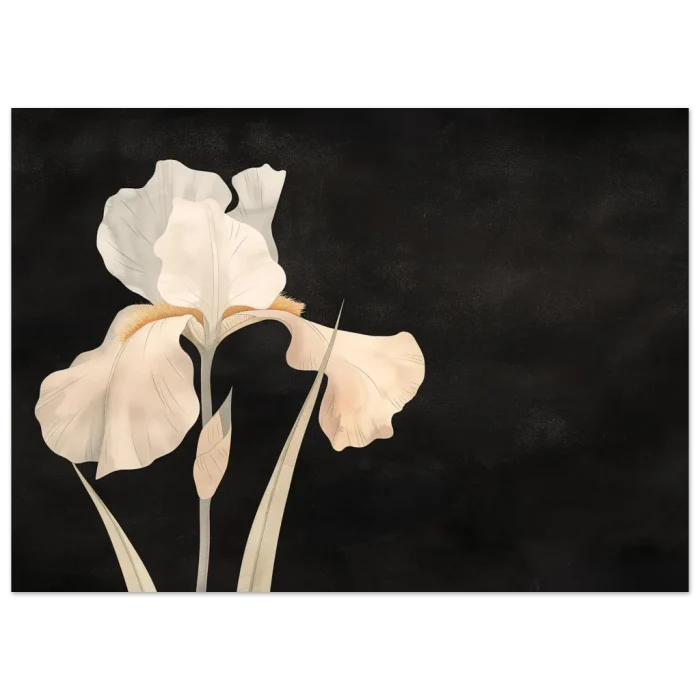 9b9b3b6e-f4b0-44f3-90df-53357e867489