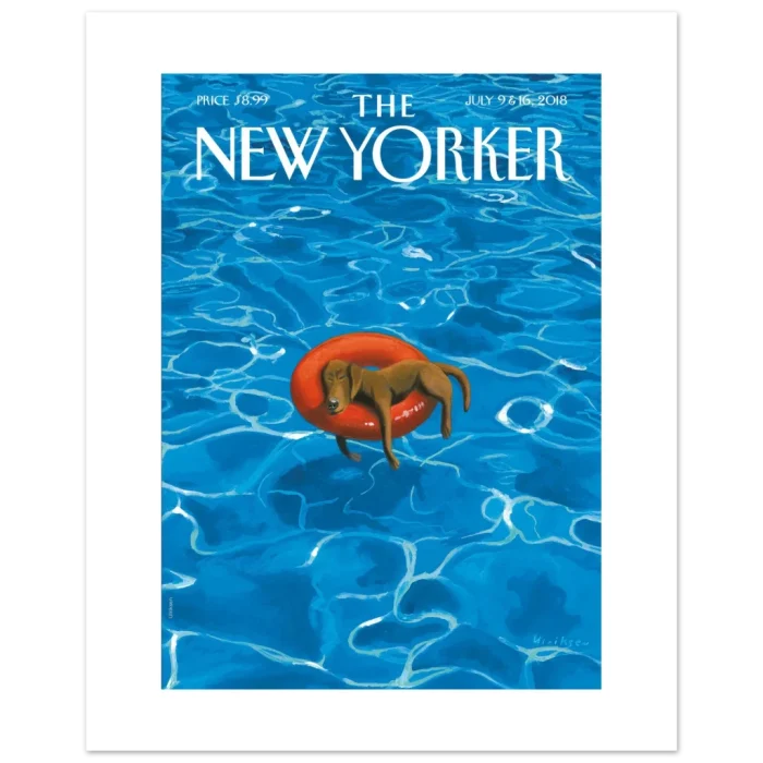 9bb17716-c2f8-4446-b798-24d1c65d0900