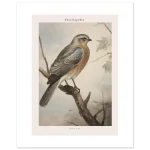 9c390f3f-242b-439f-913d-e50239ccf50a