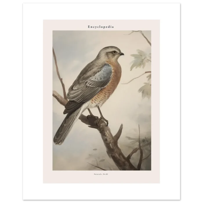 9c390f3f-242b-439f-913d-e50239ccf50a