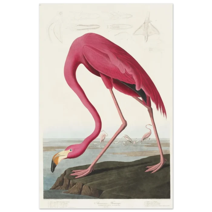 9cad9d77-ad47-438d-a2bc-2321fa6702e2