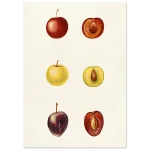 9d7183f1-31b7-435e-a92c-32556c828d3a