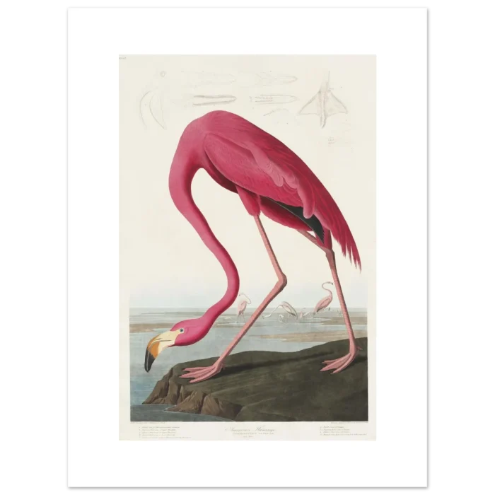 9f1322c1-4b09-488f-89c2-711155502c04