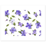 9fd1ccb7-f5f2-49d0-9b49-6a6019c3b813