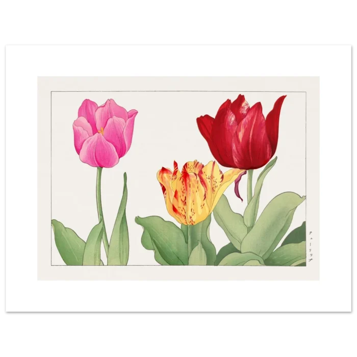 9fd7449b-9308-4dca-b574-272167ff8858