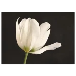 a0030844-af92-44aa-b543-48562dd337f4