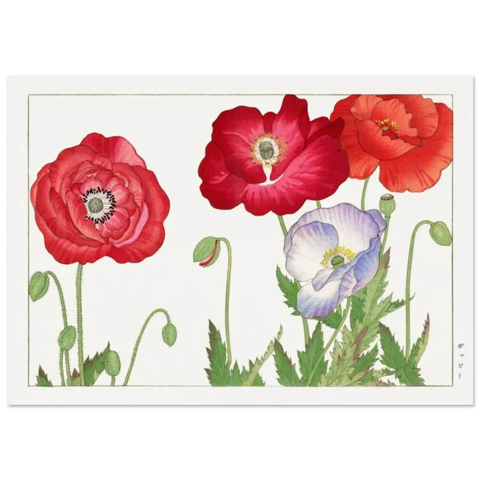 a2f32861-f6f7-4752-b3e7-2b99f5f0ca07