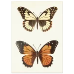 a4d490ed-71ab-45c4-a5b2-e2bf7d77f8b5