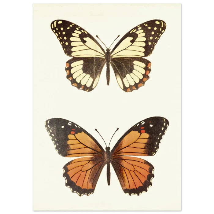 a4d490ed-71ab-45c4-a5b2-e2bf7d77f8b5