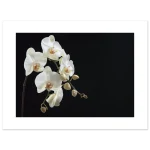 a54f5d09-8b47-4a1b-9f28-66c66bbc7688