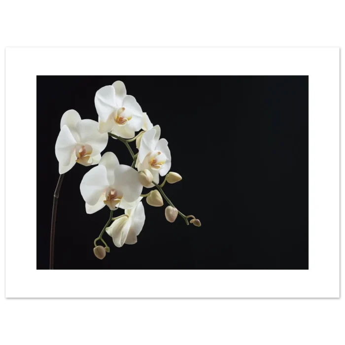 a54f5d09-8b47-4a1b-9f28-66c66bbc7688