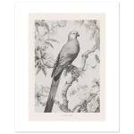 a6285b93-f0e3-4cd4-bccd-be05e9a6155c