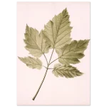 a630a991-7eea-43ef-9675-4d54d24f71d4