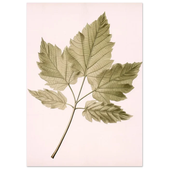 a630a991-7eea-43ef-9675-4d54d24f71d4