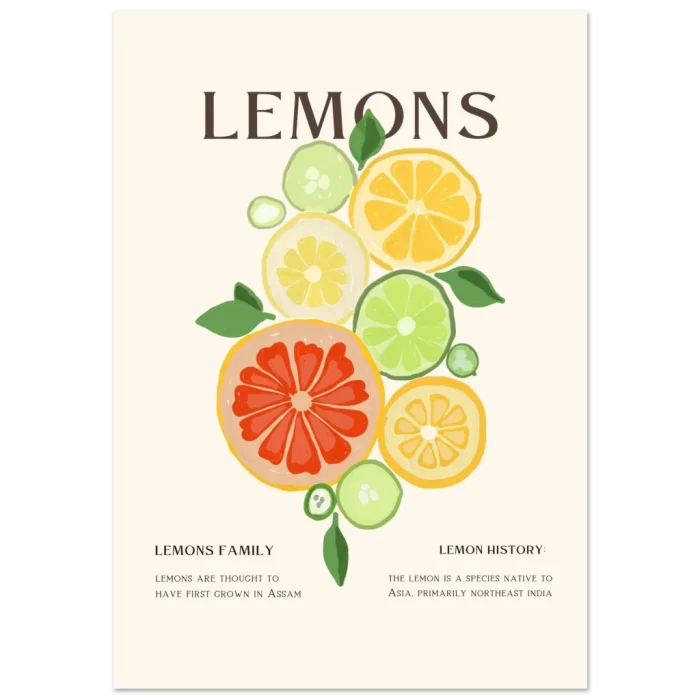 a6908068-dab2-4f7a-bc78-8f2fd38d6976