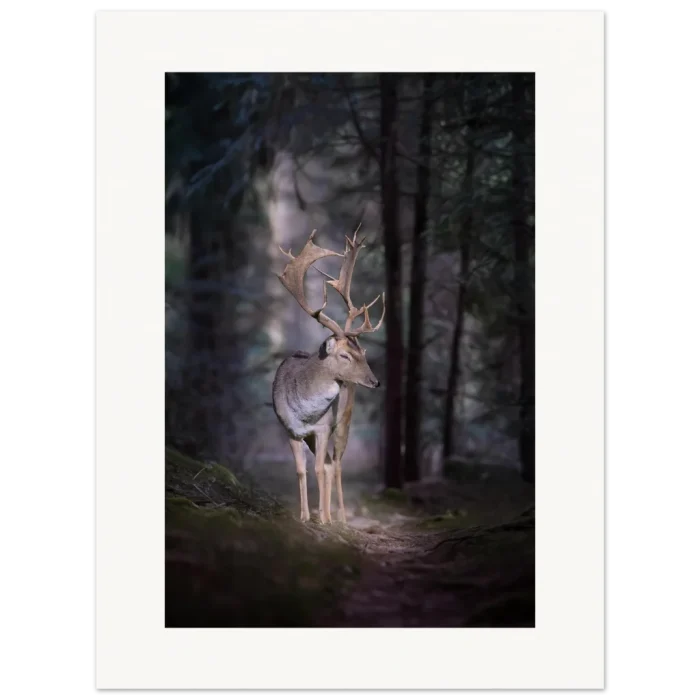 a6ee2579-5e2f-46ff-8cea-e627d452ff21