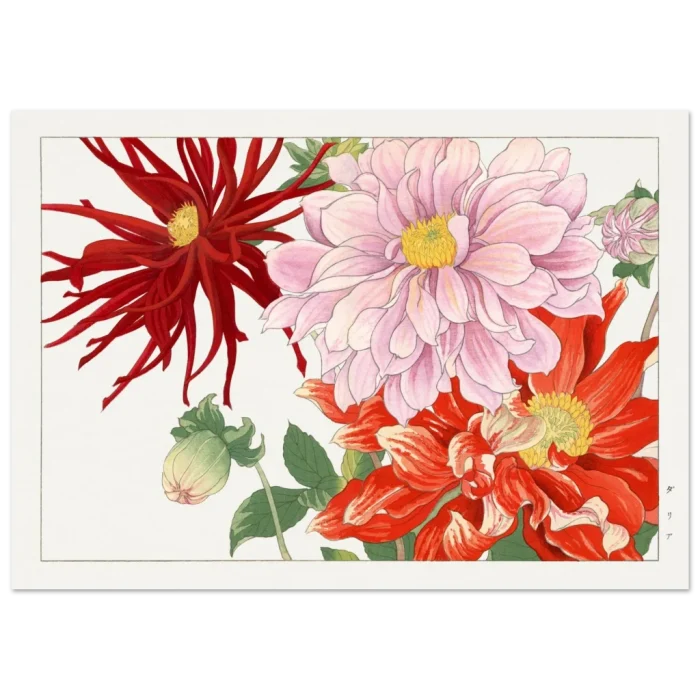 a7415c9b-74e7-4fab-b0d2-9889efcdf700