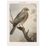 a80276b6-cfd7-4e5d-b449-2d29fcb601e2