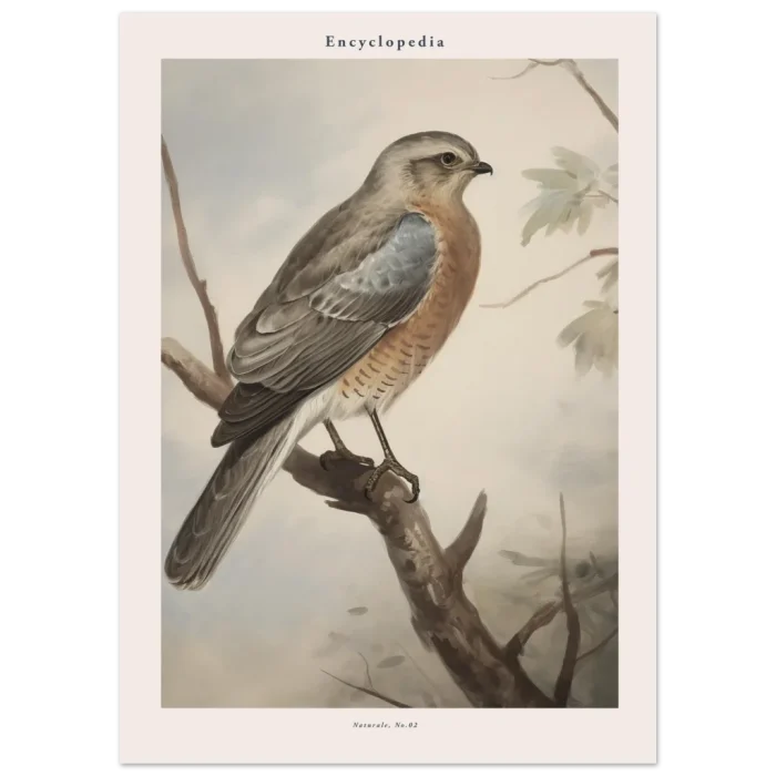 a80276b6-cfd7-4e5d-b449-2d29fcb601e2