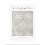 a912d746-6cd6-444a-816a-e2cb4c10aac9