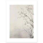 a96b85b9-8bb8-4ae8-a411-0af4a383b513