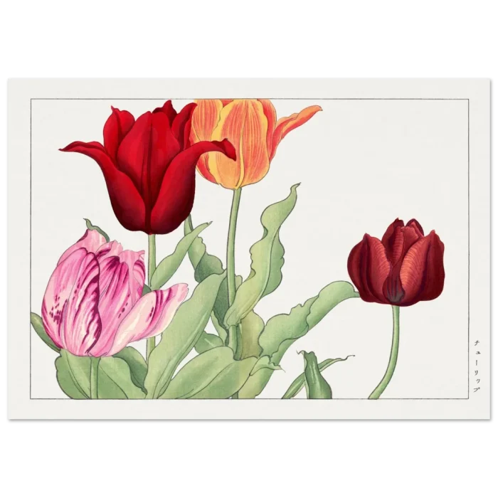 a9bdb444-956e-4152-862d-befaed9c9934