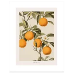 aa037374-eb34-432d-853d-7063bed3ce97