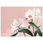 ab78fbd0-9d0f-462f-a11f-99216aa83dec