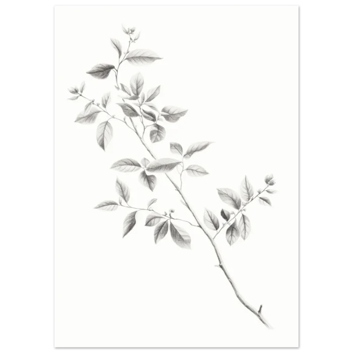 ad8153bf-d0cd-40c8-bf0f-daf11fb751fb