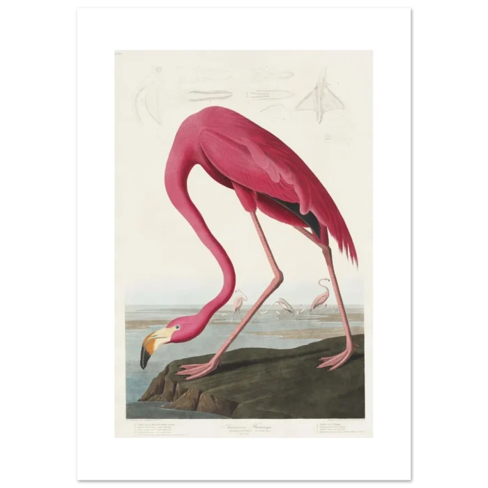 ae565ce9-f217-4928-a460-eaef8bc3350c