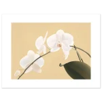 af5f0463-cc01-4886-96b4-43d8aa13016c