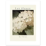 afb0e3e4-4ad8-4d25-9815-7a382c3493b1