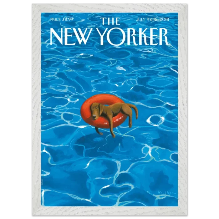 afed1dcd-0f61-468b-b8a1-bf06f66cea6f