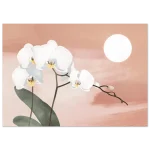 b005c72f-c238-42b4-af4b-d5128de81c46