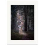 b030c58a-a6b4-4dcf-86ff-63c189282633