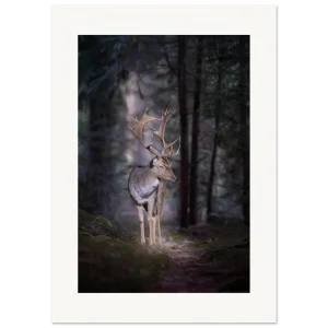 b030c58a-a6b4-4dcf-86ff-63c189282633