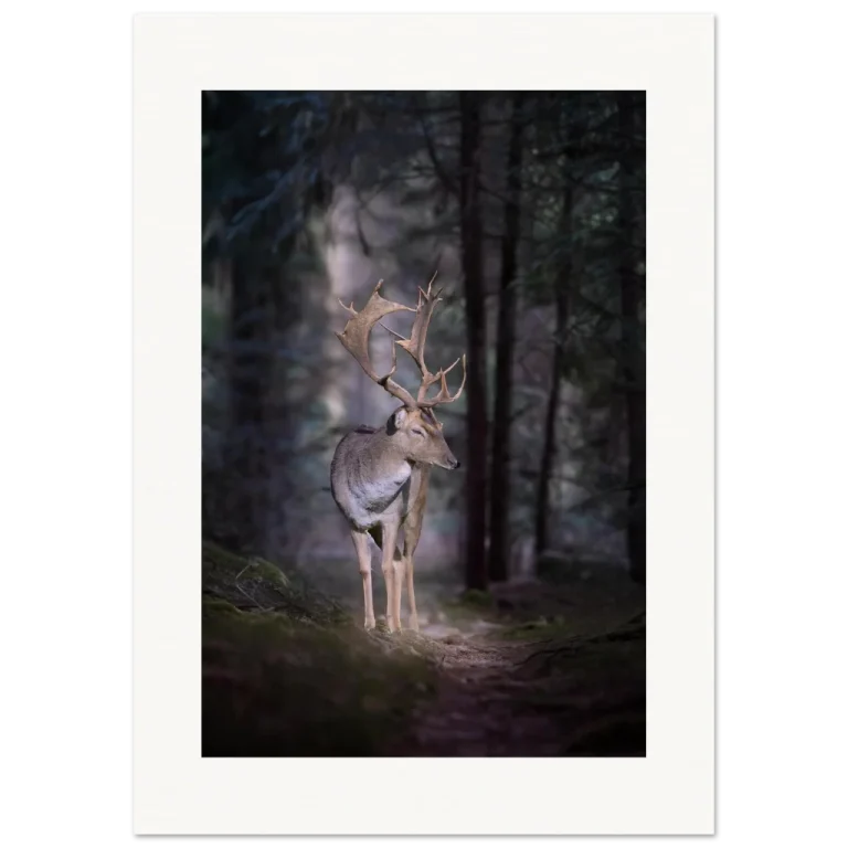 b030c58a-a6b4-4dcf-86ff-63c189282633