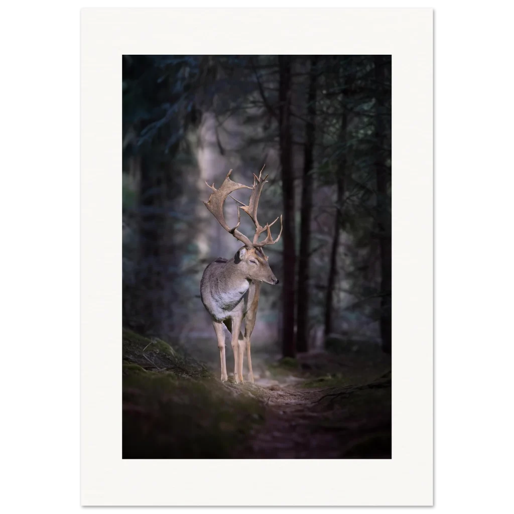 b030c58a-a6b4-4dcf-86ff-63c189282633.webp b030c58a-a6b4-4dcf-86ff-63c189282633