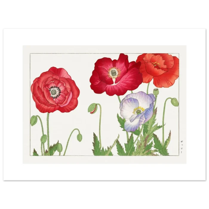 b262087a-d6e4-4236-a2f7-edc8302d71f8