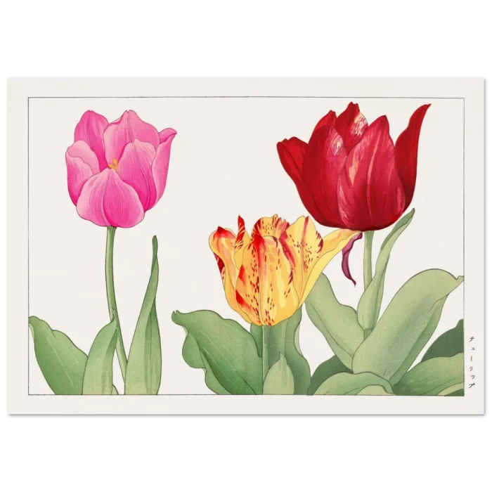 b2fb735d-a2fc-4a19-9061-de376395f636