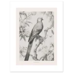 b38a5630-d2ca-4481-b7be-776182974a83